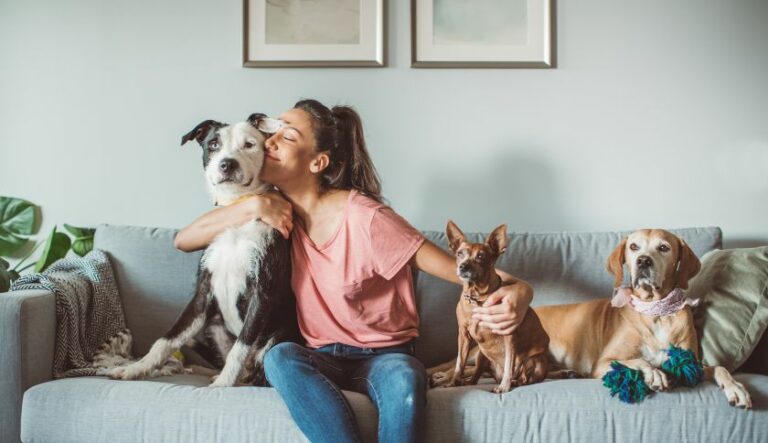 É pai ou mãe de pet? Confira 2 imóveis em Capão da Canoa para morar com o seu cãopanheiro