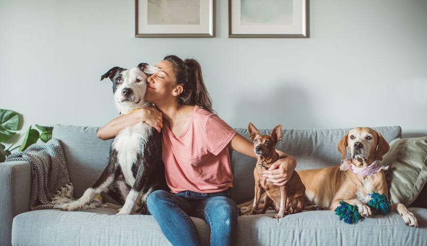 É pai ou mãe de pet? Confira 2 imóveis em Capão da Canoa para morar com o seu cãopanheiro