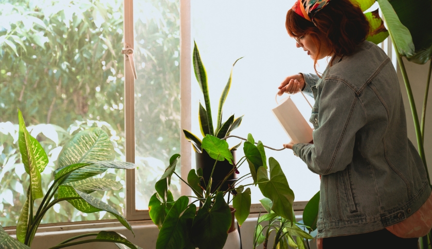 Cuidados com o Jardim