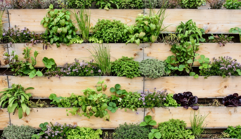 Jardim vertical com estrutura de madeira