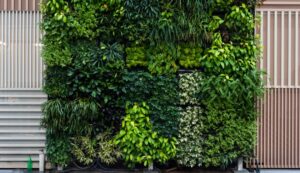 Jardins verticais: 7 modelos cheios de charme para se inspirar em casa ou no apartamento