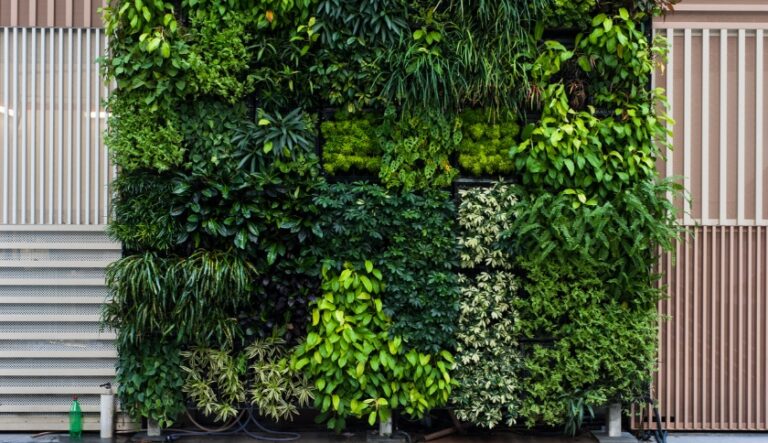 Jardins verticais: 7 modelos cheios de charme para se inspirar em casa ou no apartamento
