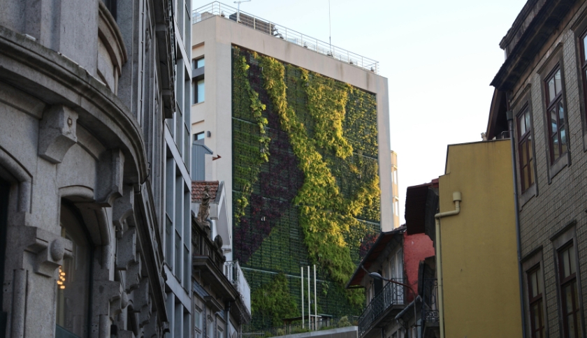 Jardins verticais em apartamento